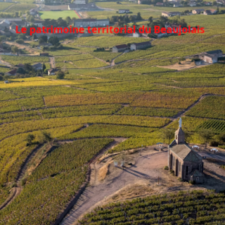 L’ histoire du vin, entre passé et futur